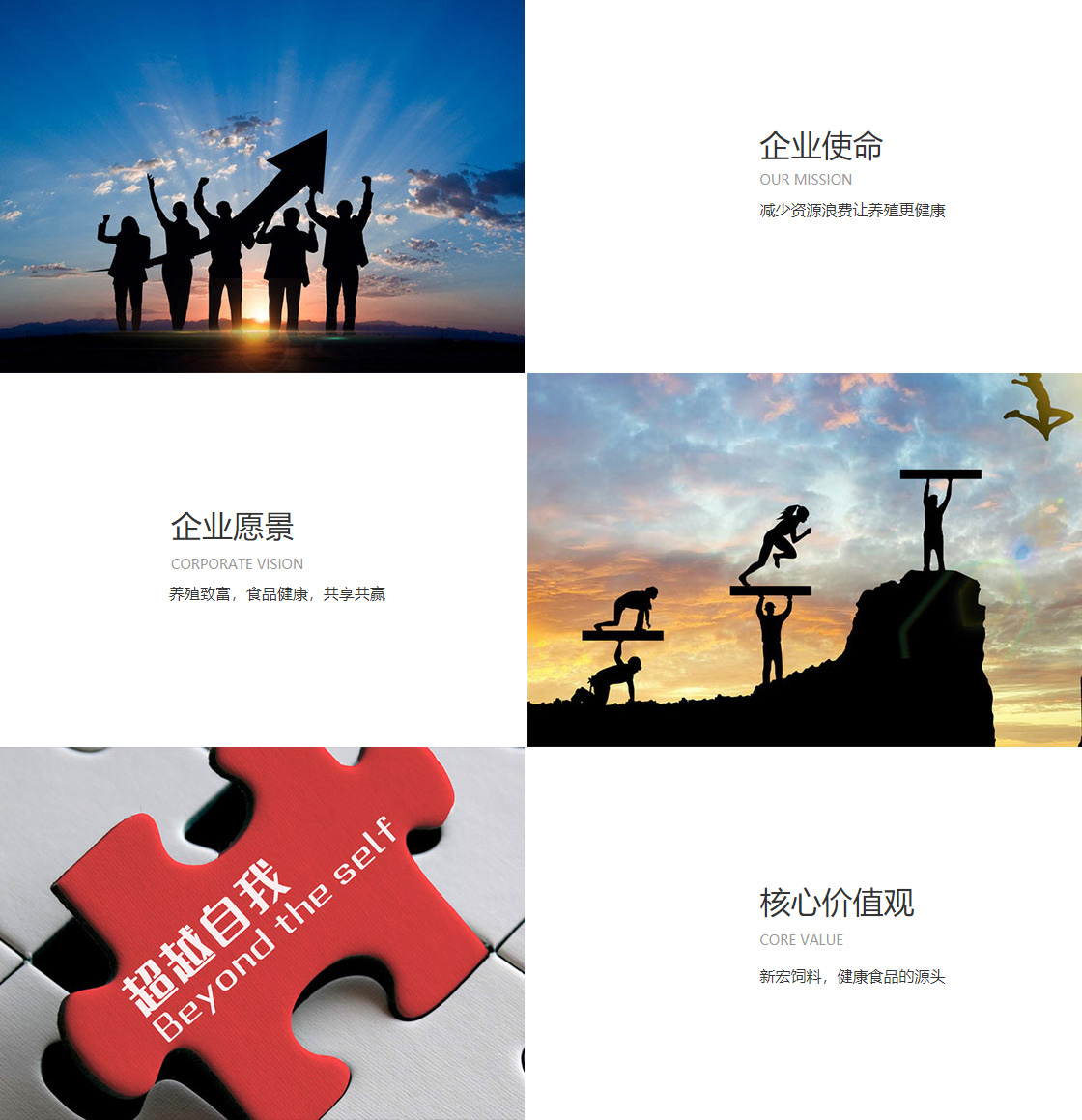 彩神VII(图1)